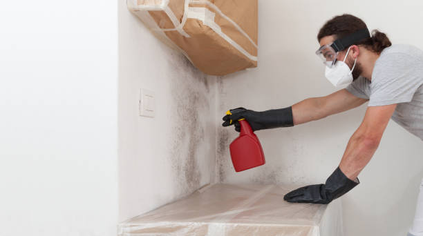 Professional Attic Mold Remediation technician working in Woodmere, NY